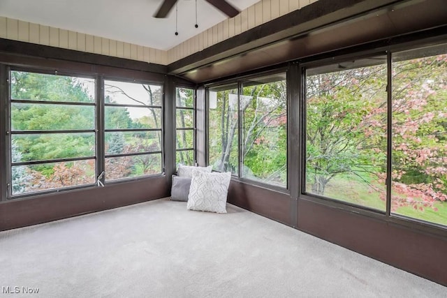 unfurnished sunroom featuring ceiling fan and a healthy amount of sunlight