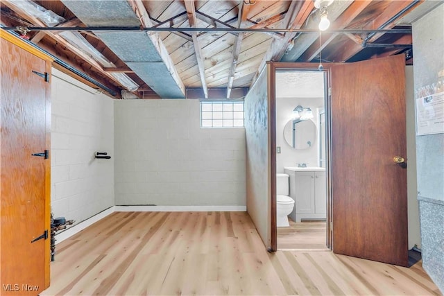 basement featuring hardwood / wood-style flooring