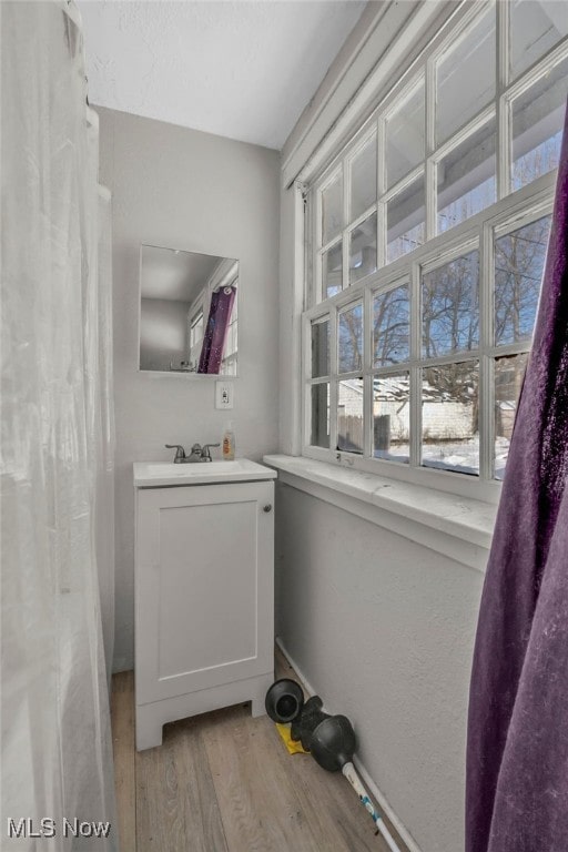 bathroom featuring vanity and hardwood / wood-style flooring