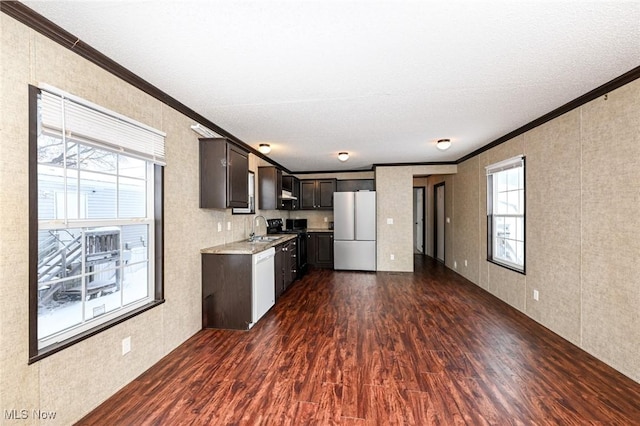 kitchen featuring white appliances, dark wood-type flooring, sink, ornamental molding, and dark brown cabinetry