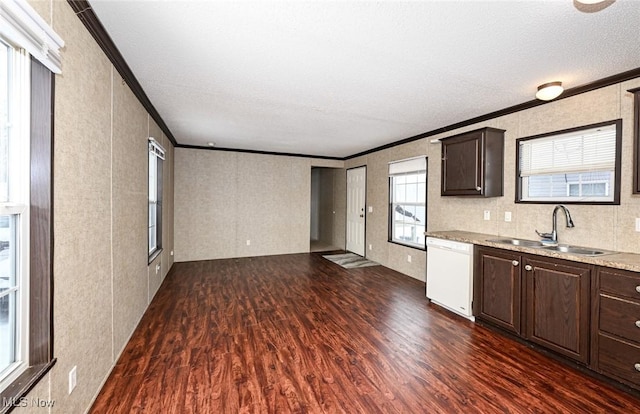 kitchen with white dishwasher, dark hardwood / wood-style flooring, ornamental molding, and sink