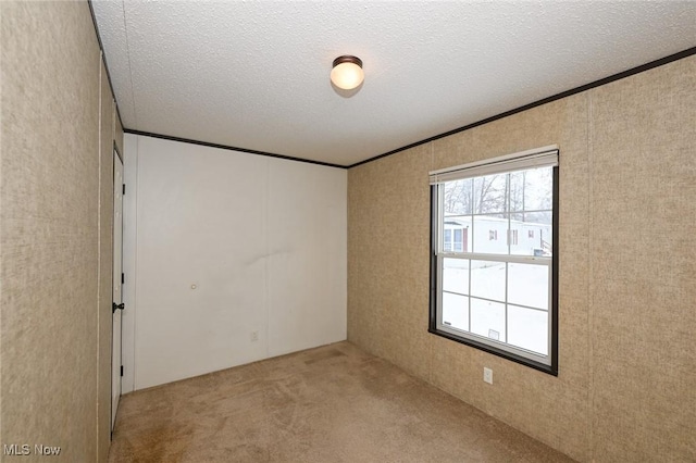 spare room featuring a textured ceiling, crown molding, and light colored carpet