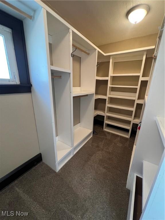 spacious closet with dark carpet