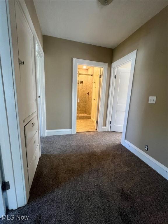 hallway with carpet floors