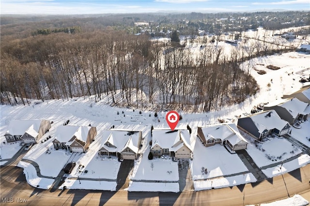 view of snowy aerial view