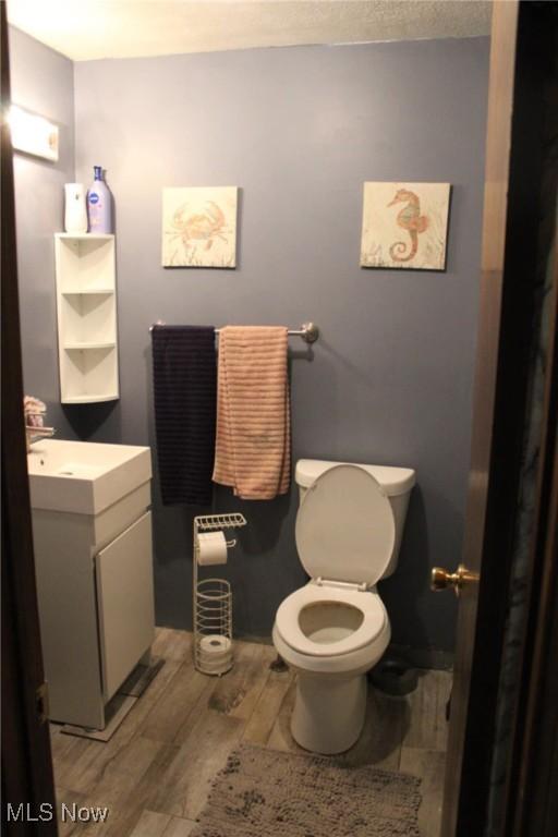 bathroom featuring toilet, wood-type flooring, and vanity