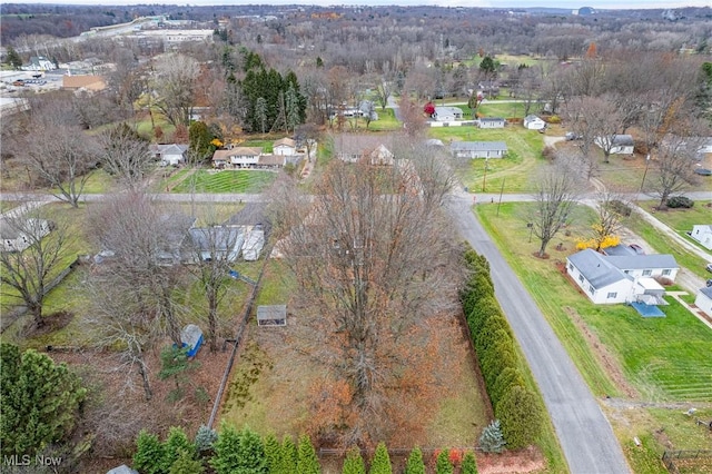 bird's eye view