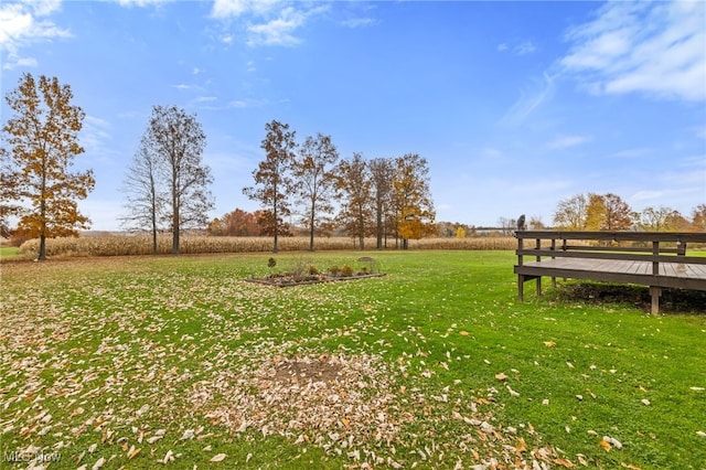 view of yard featuring a rural view