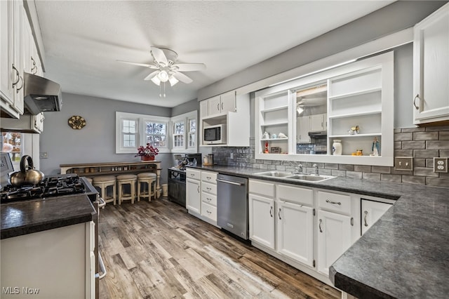 kitchen with stainless steel appliances, white cabinetry, sink, and range hood