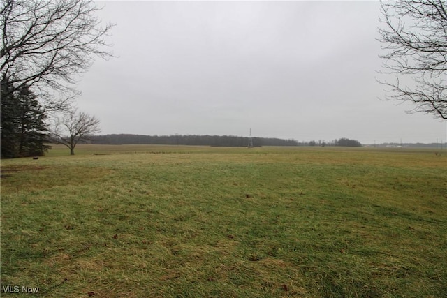 view of yard with a rural view