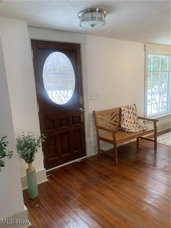 foyer entrance featuring dark hardwood / wood-style flooring