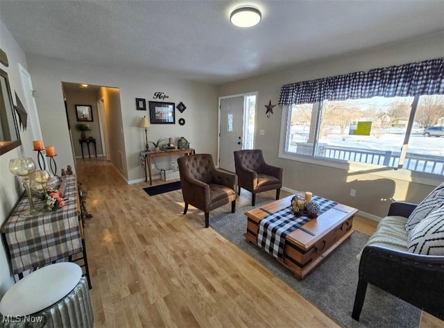 living room featuring hardwood / wood-style flooring