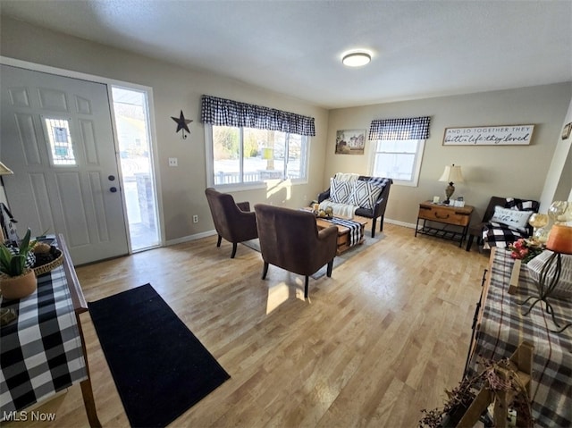 living room with light hardwood / wood-style flooring