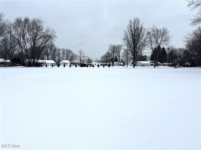 view of snowy yard