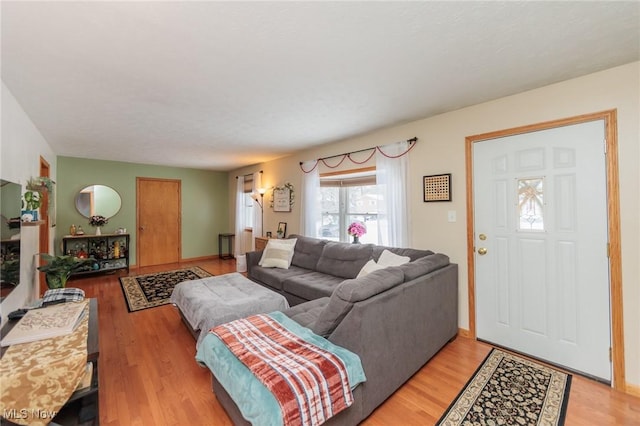 living room featuring hardwood / wood-style flooring