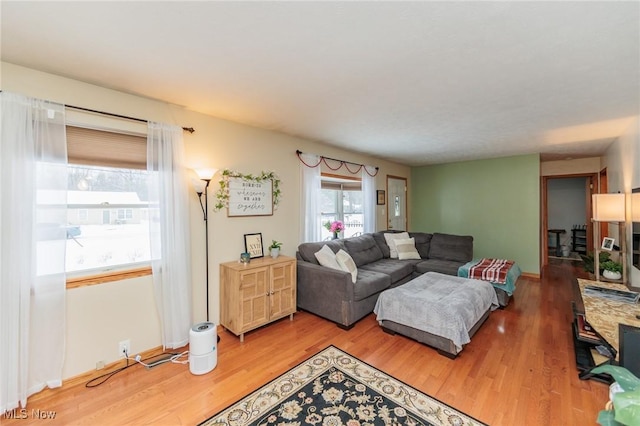 living room featuring hardwood / wood-style flooring