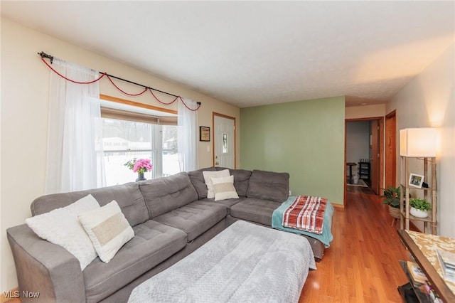 living room with light wood-type flooring