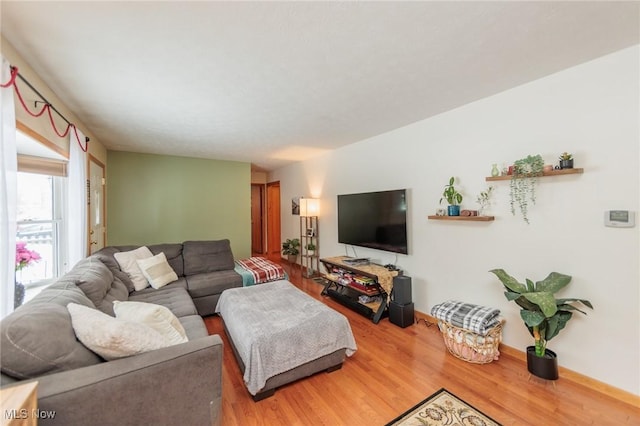 living room featuring hardwood / wood-style floors