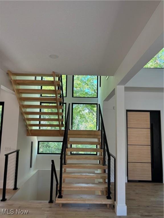 staircase featuring wood-type flooring