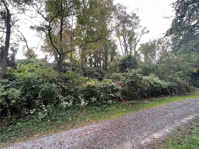 0 Ohio Ave, Martins Ferry OH, 43935 land for sale