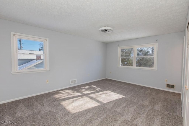 carpeted empty room with plenty of natural light and a textured ceiling