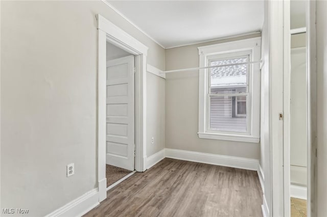 spacious closet with light wood-type flooring