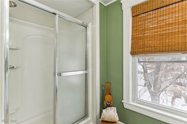 bathroom with crown molding and a shower with door