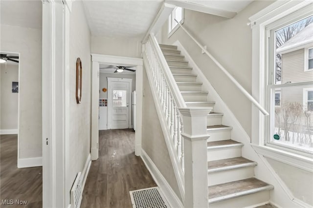 stairway featuring ceiling fan and hardwood / wood-style floors