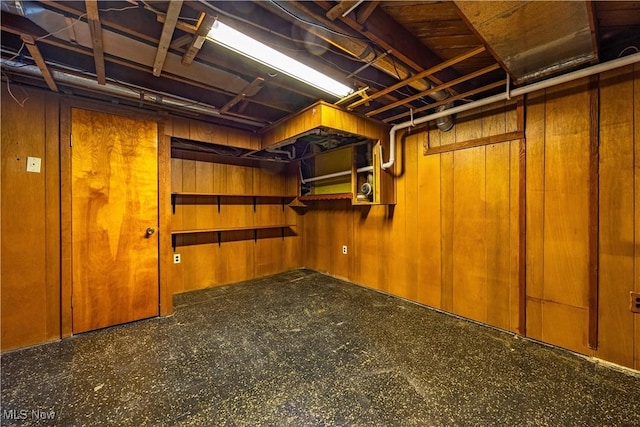 basement with wooden walls