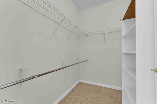 spacious closet with carpet