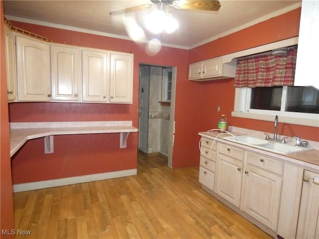 kitchen featuring ceiling fan, light wood-type flooring, sink, and crown molding