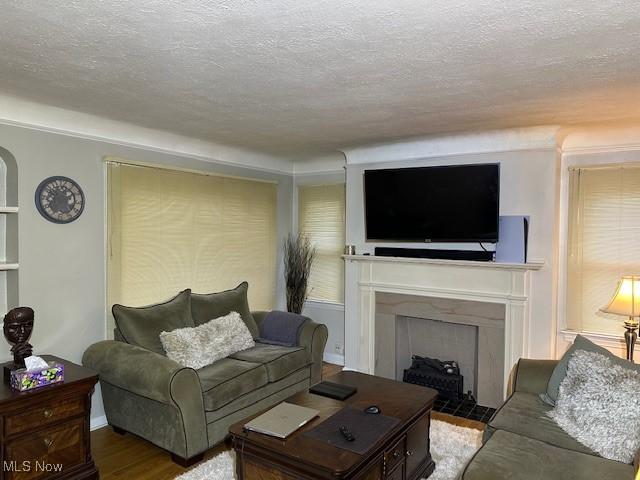 living room with a textured ceiling and hardwood / wood-style floors