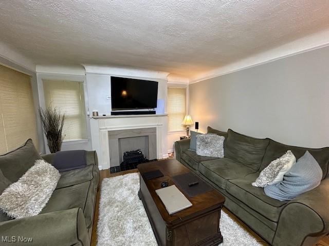 living room featuring a textured ceiling and hardwood / wood-style flooring