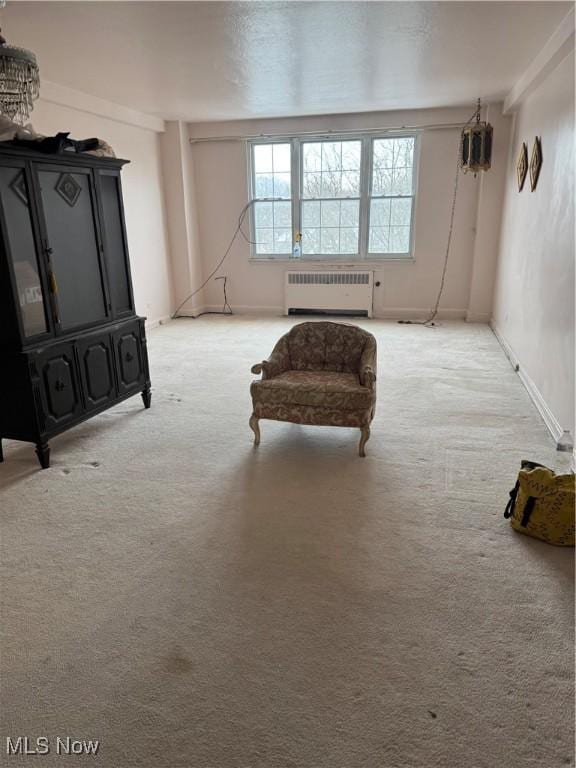 basement with radiator and light carpet