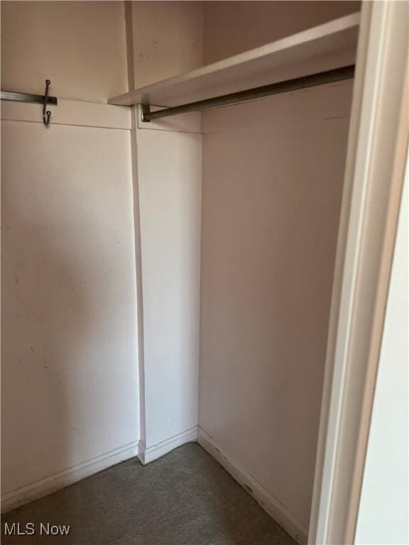 view of closet