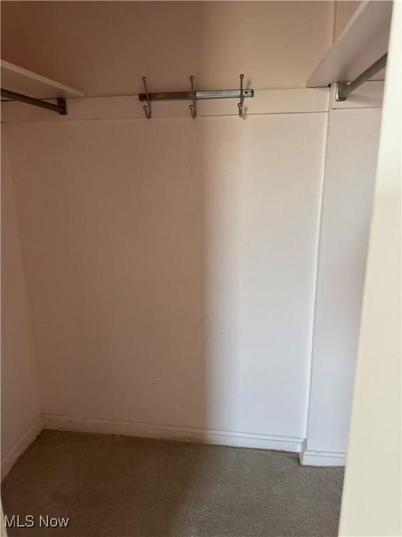 spacious closet featuring carpet