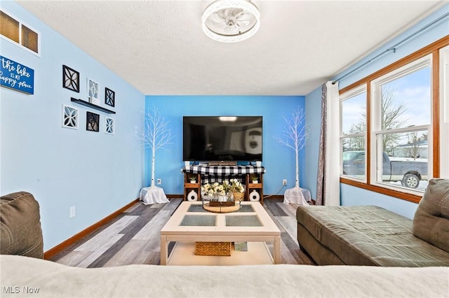 living room featuring hardwood / wood-style floors and a textured ceiling