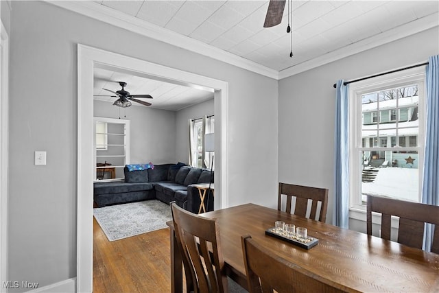 dining room with ceiling fan, dark hardwood / wood-style floors, and crown molding