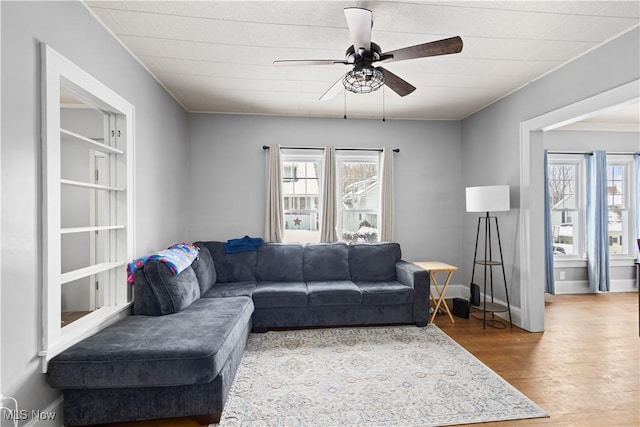 living room with ceiling fan and wood-type flooring