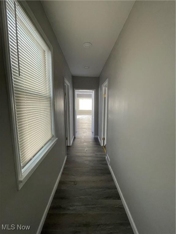 hallway featuring dark wood-type flooring