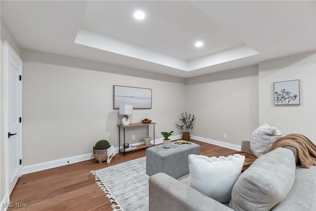 living room featuring dark wood-type flooring and a tray ceiling