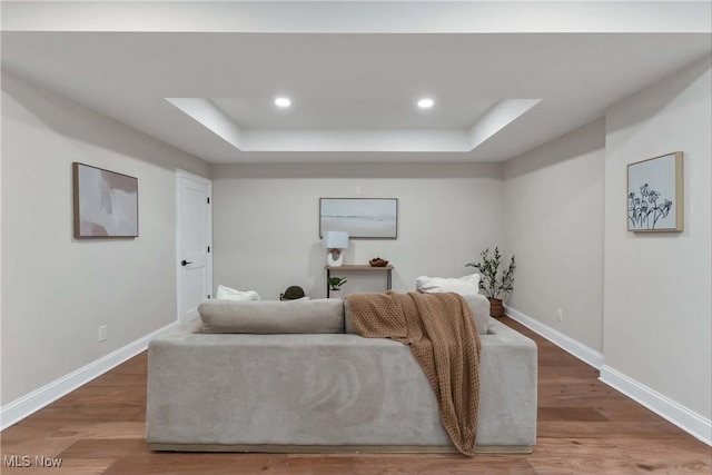 living room with hardwood / wood-style flooring and a tray ceiling