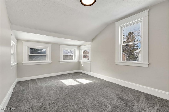 additional living space with plenty of natural light, a textured ceiling, carpet flooring, and vaulted ceiling