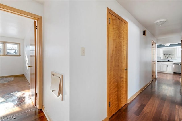 hallway with dark wood-type flooring