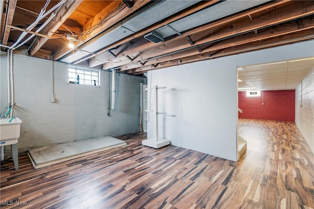 basement featuring wood-type flooring