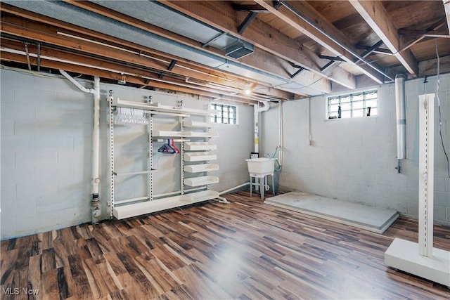 basement featuring hardwood / wood-style floors