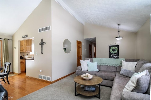 living room featuring high vaulted ceiling and light hardwood / wood-style floors