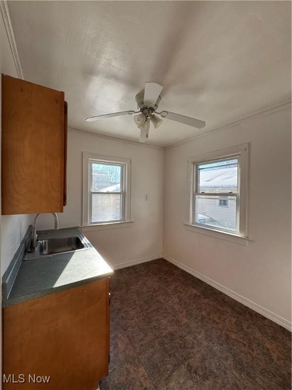 kitchen with ceiling fan, sink, and crown molding