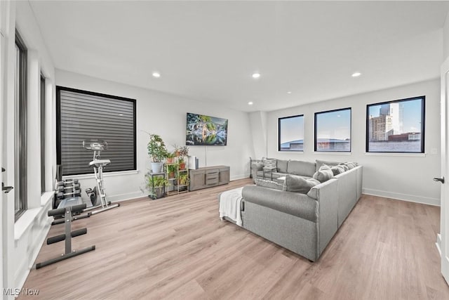 living room with light wood-type flooring