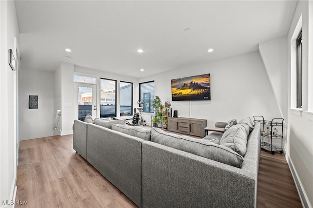 living room featuring wood-type flooring